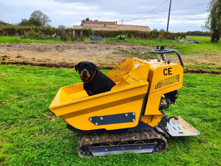 mini crawler dumper