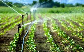 Irrigation Pipe